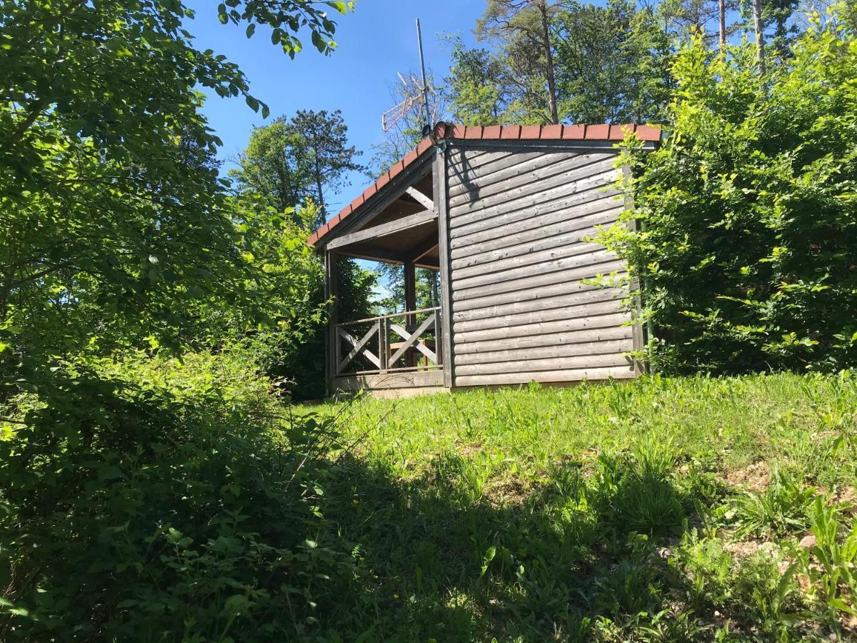 Les Chalets Du Lac Villa Passavant-la-Rochere Exterior photo